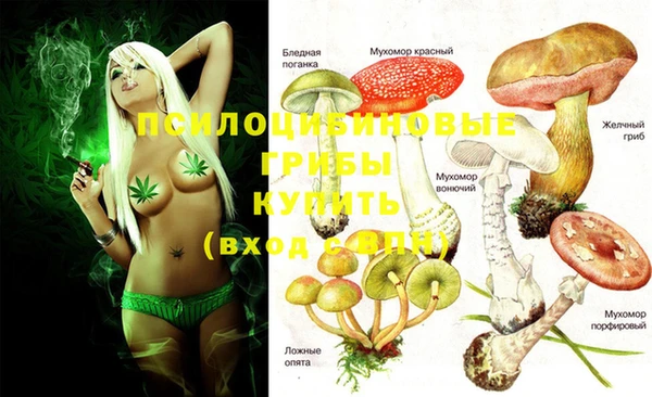 дживик Аркадак