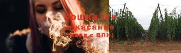 дживик Аркадак