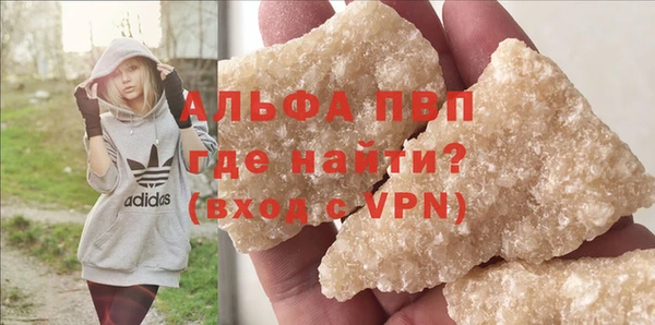 сатива Армянск