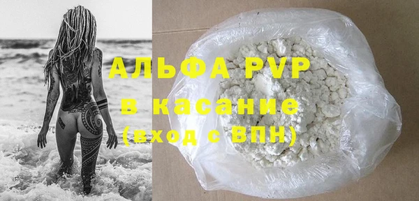 сатива Армянск