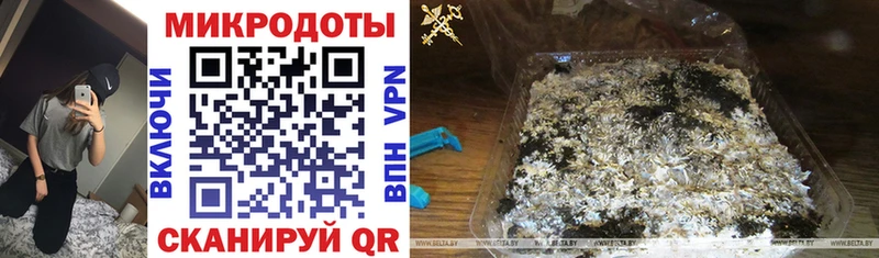 Псилоцибиновые грибы MAGIC MUSHROOMS мориарти официальный сайт Бологое KRAKEN как зайти